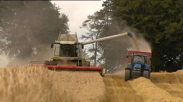 Irish farmers were concerned about the Single Farm Payments Irish farmers were concerned about the Single Farm Payments