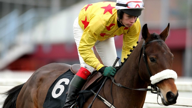Hidden Crack claimed the Martinstown Opportunity Handicap Chase