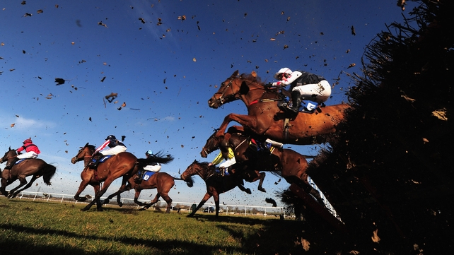 How do you get value on your bets at this year's Cheltenham Festival?