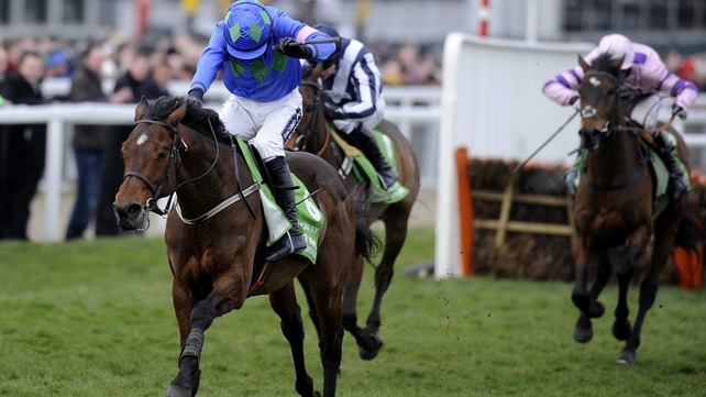 Hurricane Fly is a best-price 1-3 to win the Rabobank Champion Hurdle for the fourth time