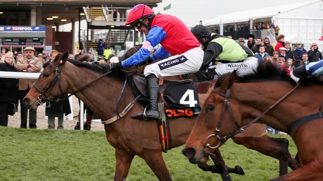 Quevega again proves unbeatable up the Cheltenham hill
