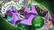 St Patrick's Day Travel