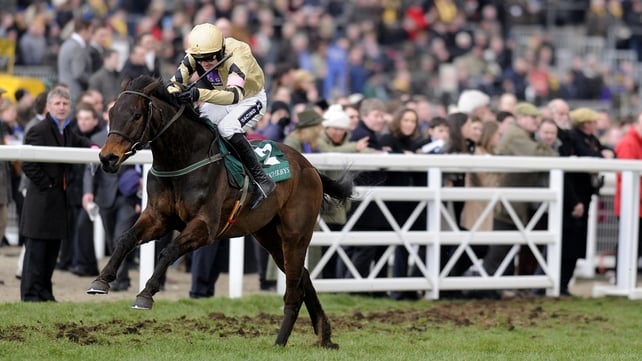 Briar Hill should be suited by a step up in trip after accounting for modest opposition at Wexford on his hurdling bow over two miles two furlongs