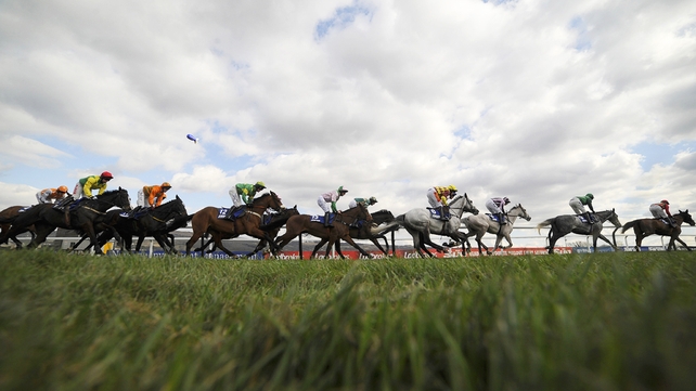 Midnight Oil takes Gowran feature