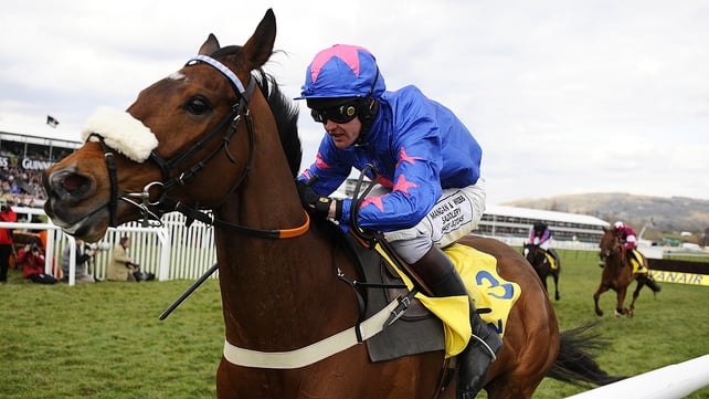 Cue Card will miss the Cheltenham Gold Cup with injury
