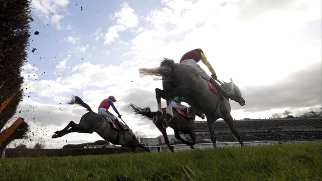 Twigline hits the deck at Sandown. She has a chance to gain compensation at Limerick on Sunday.