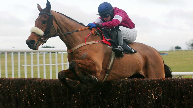 Quito De La Roque won the Kinloch Brae Chase at Thurles in January under Paul Townend