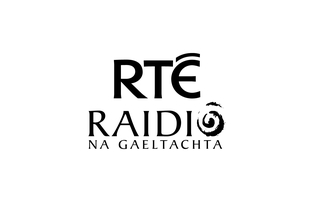 Moltaí an Choimisinéara Teanga faoi leasuithe Acht na dTeangacha