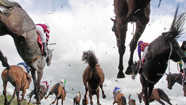 Leading fancy Rich Revival is on course for the Easter Monday feature
