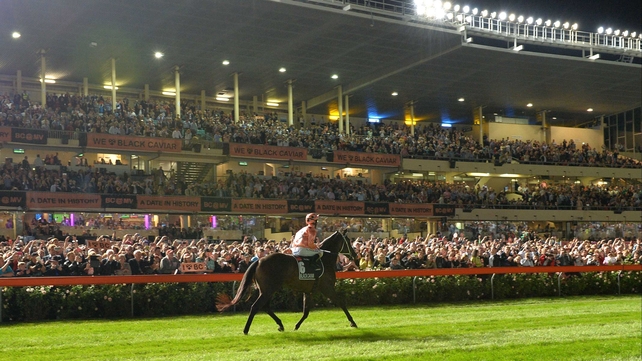 Black Caviar walks back past the stands last Friday after securing her 14th Group 1 success
