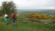 The John Murray Show Walking Club - April 14th