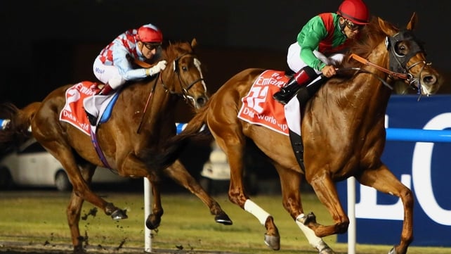 2011 Kentucky Derby winner Animal Kingdom ran away with the Dubai World Cup