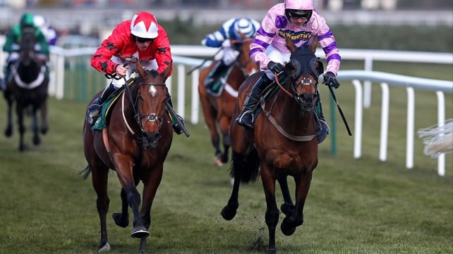 Zarkandar is a best-price 8-1 for next season's World Hurdle at the Cheltenham Festival, while The New One is likely to be aimed at the Champion Hurdle