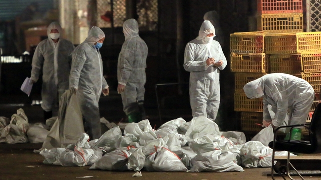 Health workers in Shanghai remove bags of dead poultry Health workers in Shanghai remove bags of dead poultry