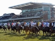 Paddy Power