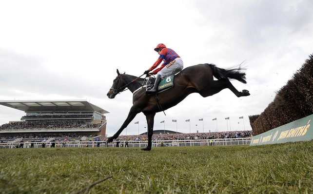 Sprinter Sacre, who has earned the soubriquet 'the big black aeroplane' from trainer Nicky Henderson, gunned down his rivals in emphatic fashion
