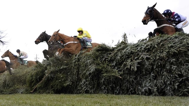 Triolo D'Alene claimed the Topham Chase at the Aintree Festival at 14-1