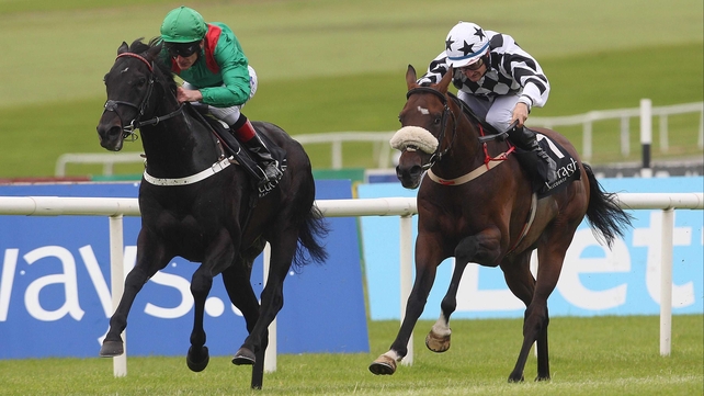 Dibayani (left) is a big player in the 2000 Guineas Trial
