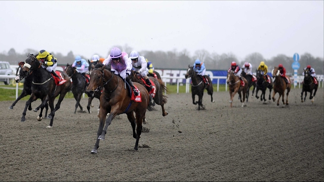 Lily's Angel has impressed of late ahead of Friday's race at Dundalk