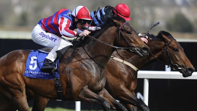 Johnny Murtagh believes all options are still open for the Andrew Tinkler-owned colt