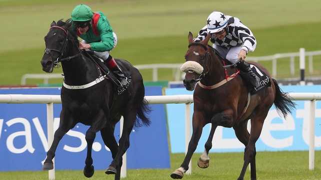 Dibayani, seen here beating Orgilgo Bay at the Curragh last summer, will tackle the Derrinstown Stud Derby Trial on 12 May at Leopardstown