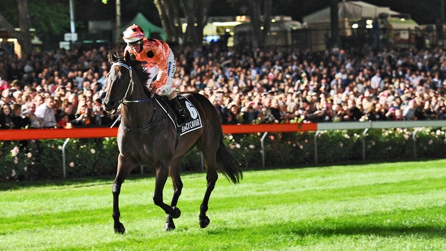 Australia's sprinting sensation was unbeaten in 25 starts