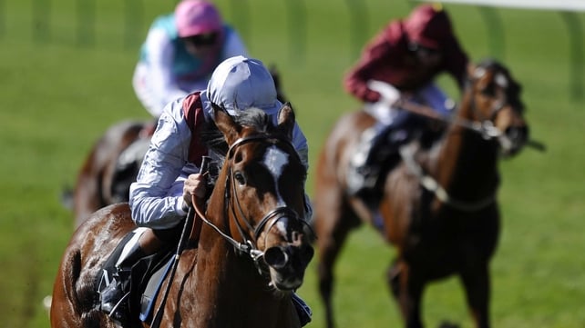 Toronado is a best-price 4-1 for the 2000 Guineas