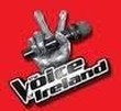 The Voice of Ireland
