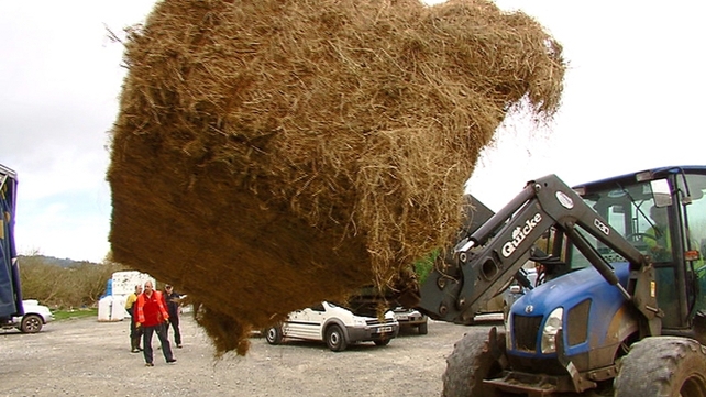 The IFA says nearly every bit of fodder in the country is now used up The IFA says nearly every bit of fodder in the country is now used up
