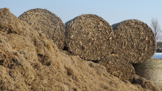 €1m transport fund should pay for between 800 and 1,000 lorry loads of fodder €1m transport fund should pay for between 800 and 1,000 lorry loads of fodder