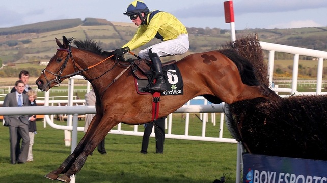 Mount Benbulben is reportedly in good order ahead of his intended seasonal bow