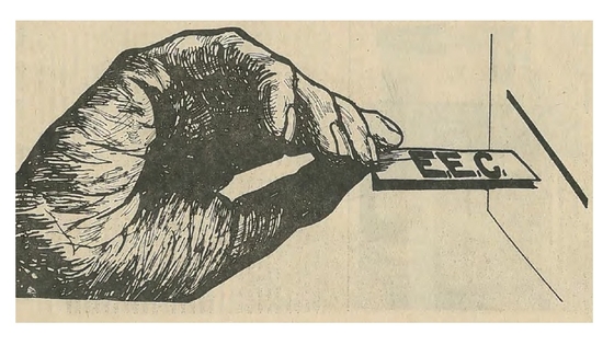 EEC Referendum 1972 (RTÉ Guide)