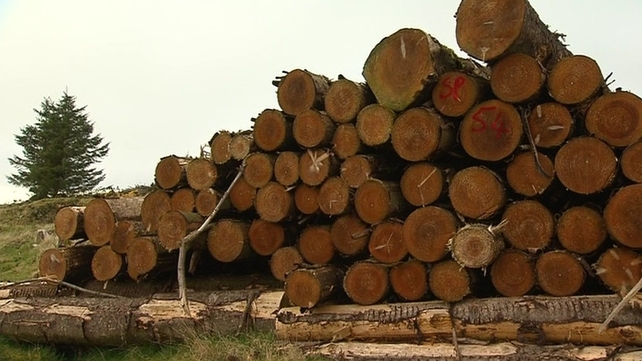 Coillte reports higher revenues and profits for last year Coillte reports higher revenues and profits for last year