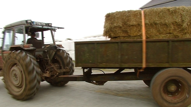 The fodder shortage has left farmers struggling to feed their animals The fodder shortage has left farmers struggling to feed their animals