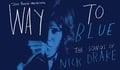 Nick Drake - 'Way to Blue'
