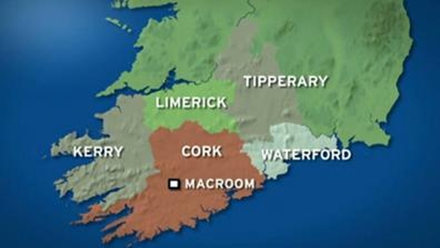 An elderly woman was pronounced dead at the scene An elderly woman was pronounced dead at the scene