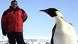 Charlie Bird in the Arctic