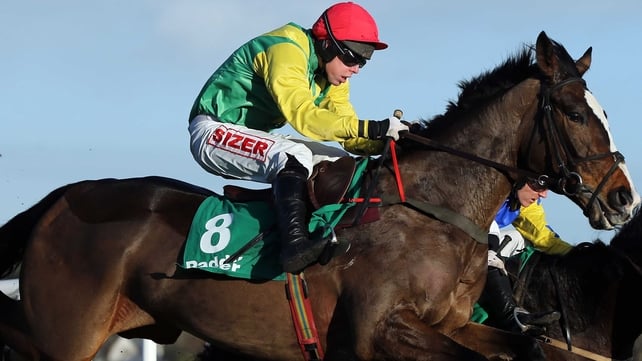 Jockey Andrew Lynch onboard Sizing Rio clears a hurdle