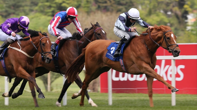 Wayne Lordan on Duntle hit the front in the Amethyst Stakes