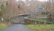 Knocksink Wood, Enniskerry