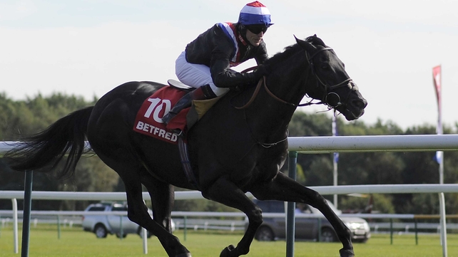 Society Rock's next start is likely to come in the Diamond Jubilee Stakes at Royal Ascot - a race the James Fanshawe inmate won in 2011