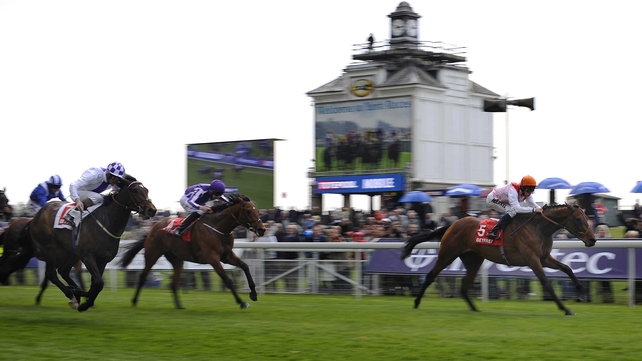 Libertarian can be backed at 25-1 for the Derby