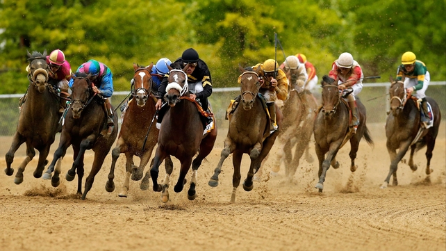 Oxbow (white noseband) turn for home with a narrow lead