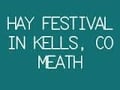 Hay Festival 2013