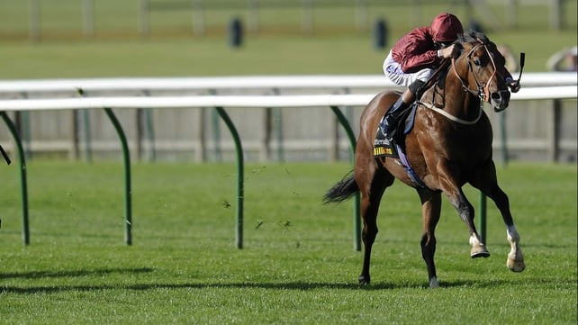 Havana Gold should time his run better at the Curragh in his quest to land the 2000 Guineas