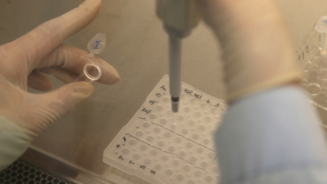 Projects will include the development of new cancer drugs and ways of detecting cognitive decline Projects will include the development of new cancer drugs and ways of detecting cognitive decline