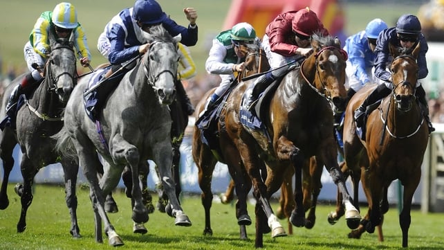 Just The Judge (maroon) finished a close second to Sky Lantern in the Newmarket 1000 Guineas