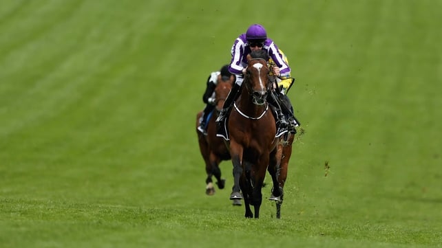 Joseph O'Brien pushes St Nicholas Abbey clear in the closing stages