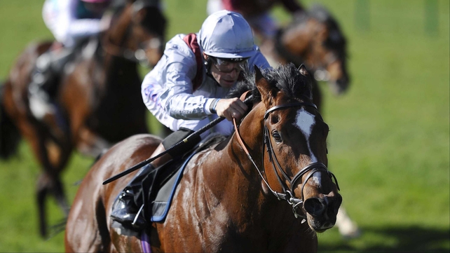Toronado was strongly fancied for the 2000 Guineas, but he managed only fourth behind Dawn Approach