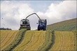 More Silage
